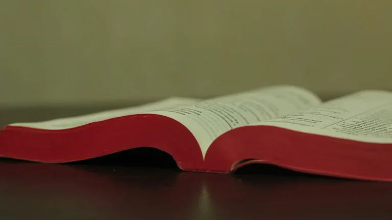 biblia pismo święte samo