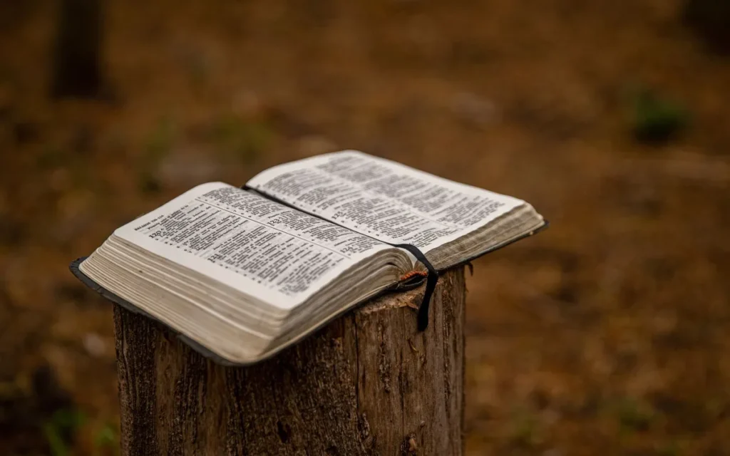 Jak podarować Biblię, aby nie została na półce?