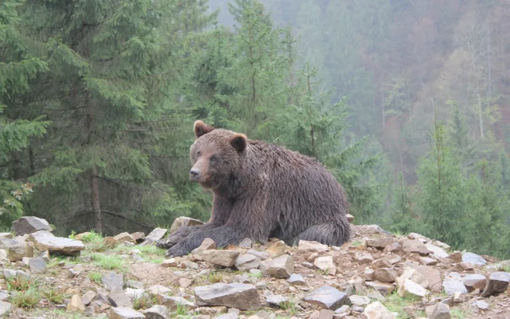 Pierwsza spowiedź - spokojne przygotowanie